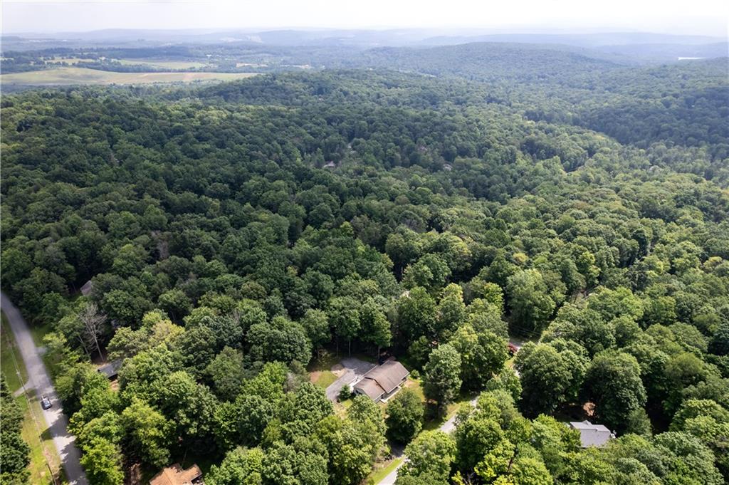 178 Christopher Road Flinton, PA 16640 - Photo 35 of 41 an aerial view of forest
