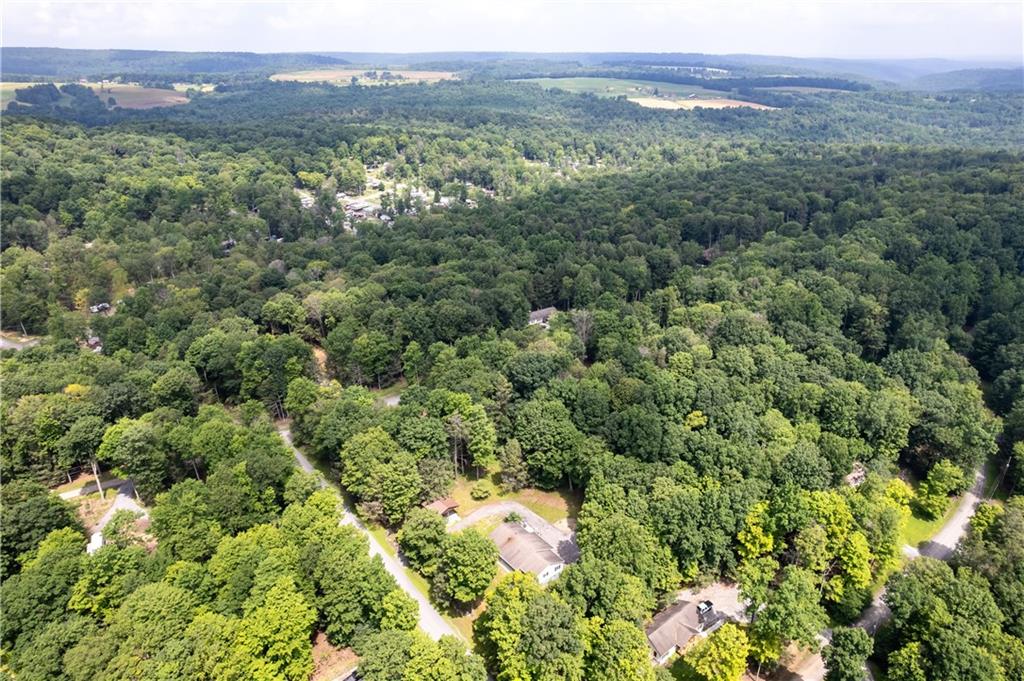 178 Christopher Road Flinton, PA 16640 - Photo 36 of 41 a view of a lush green forest with trees in the background