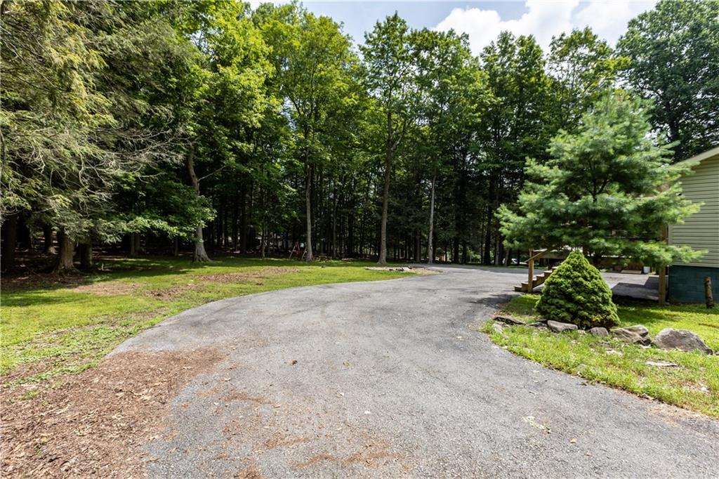178 Christopher Road Flinton, PA 16640 - Photo 6 of 41 a view of a park with large trees