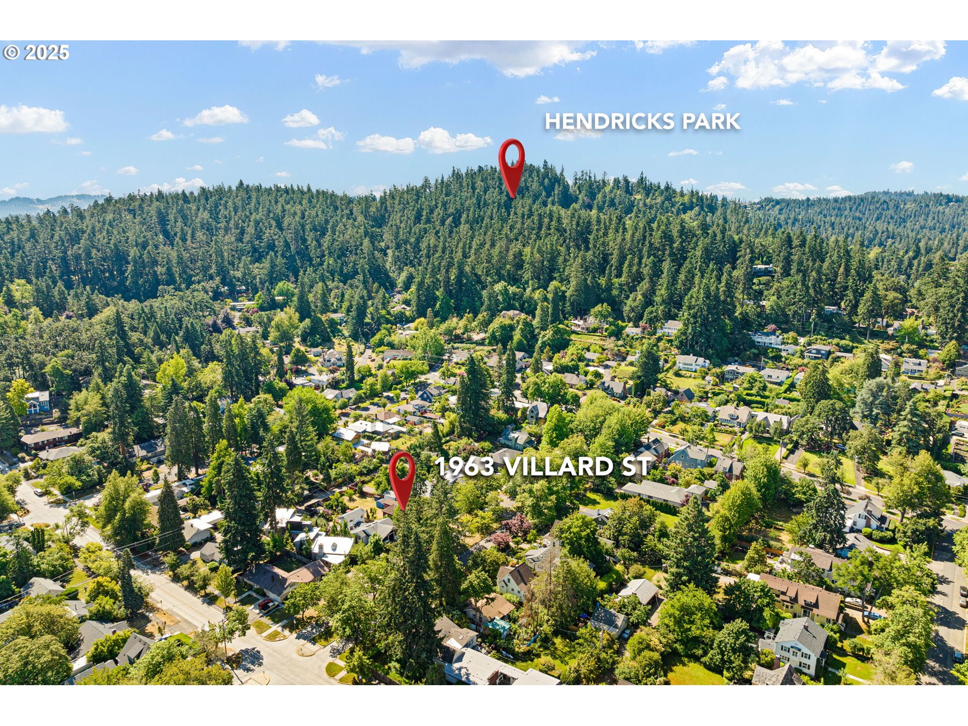 Orchard Alley Eugene, OR 97403 - Photo 13 of 13 a view of a bunch of trees