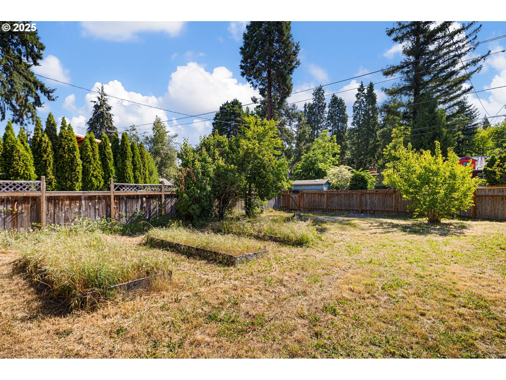 Orchard Alley Eugene, OR 97403 - Photo 2 of 13 a view of a yard in front of the house