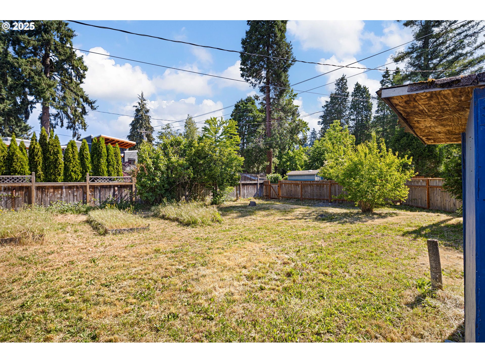 Orchard Alley Eugene, OR 97403 - Photo 3 of 13 a view of a yard with plants
