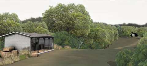 a view of a yard with a house in the background