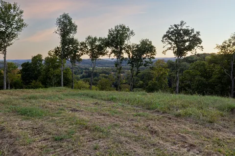 a view of a yard with a trees