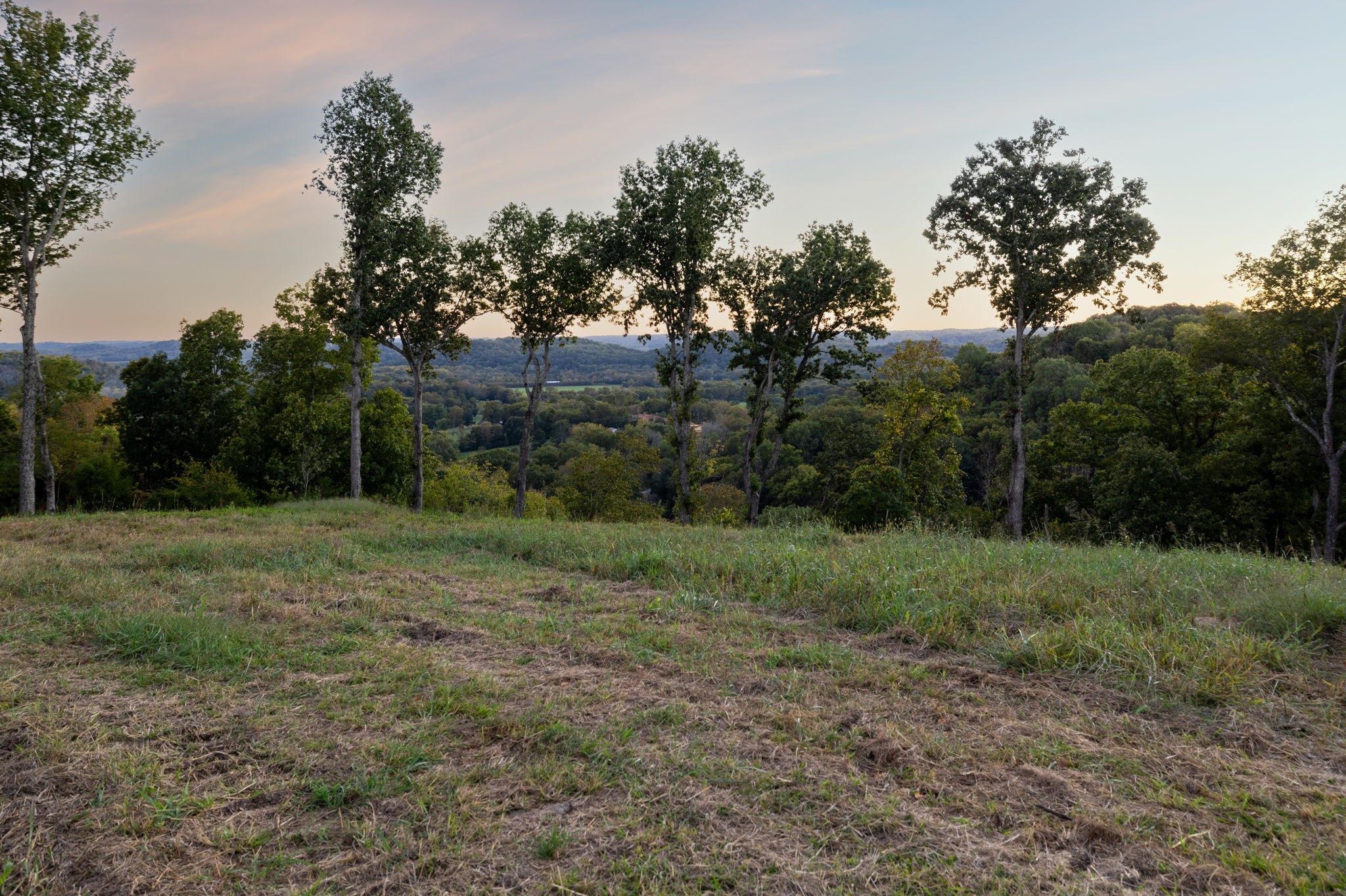 3148 Blazer Road Franklin, TN 37064 - Photo 19 of 67 a view of outdoor space with trees all around