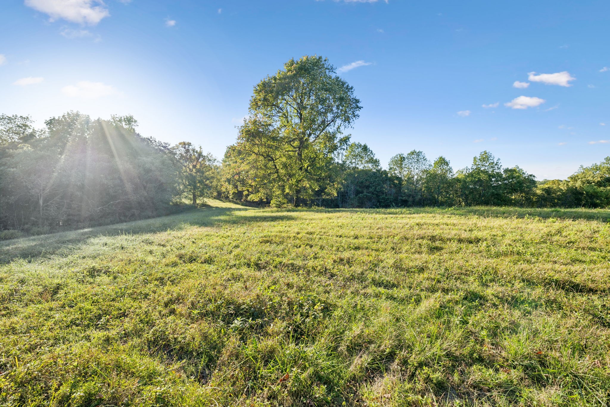 3148 Blazer Road Franklin, TN 37064 - Photo 25 of 67 a view of a yard with a house in the background