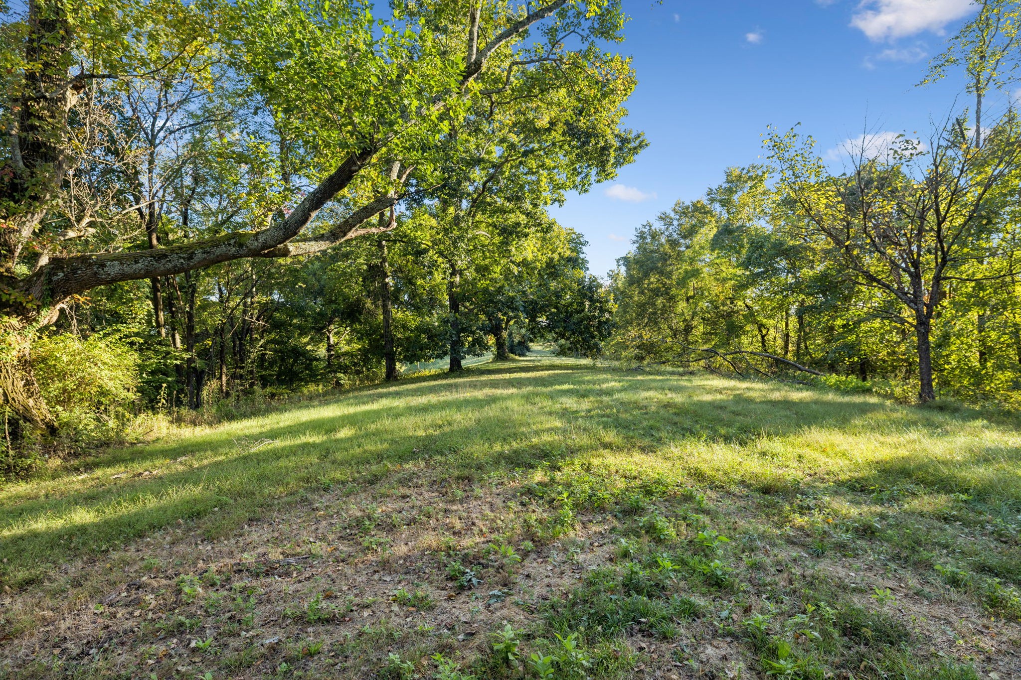 3148 Blazer Road Franklin, TN 37064 - Photo 26 of 67 a view of outdoor space with trees all around
