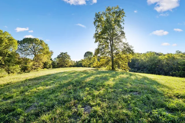 a view of yard with large trees