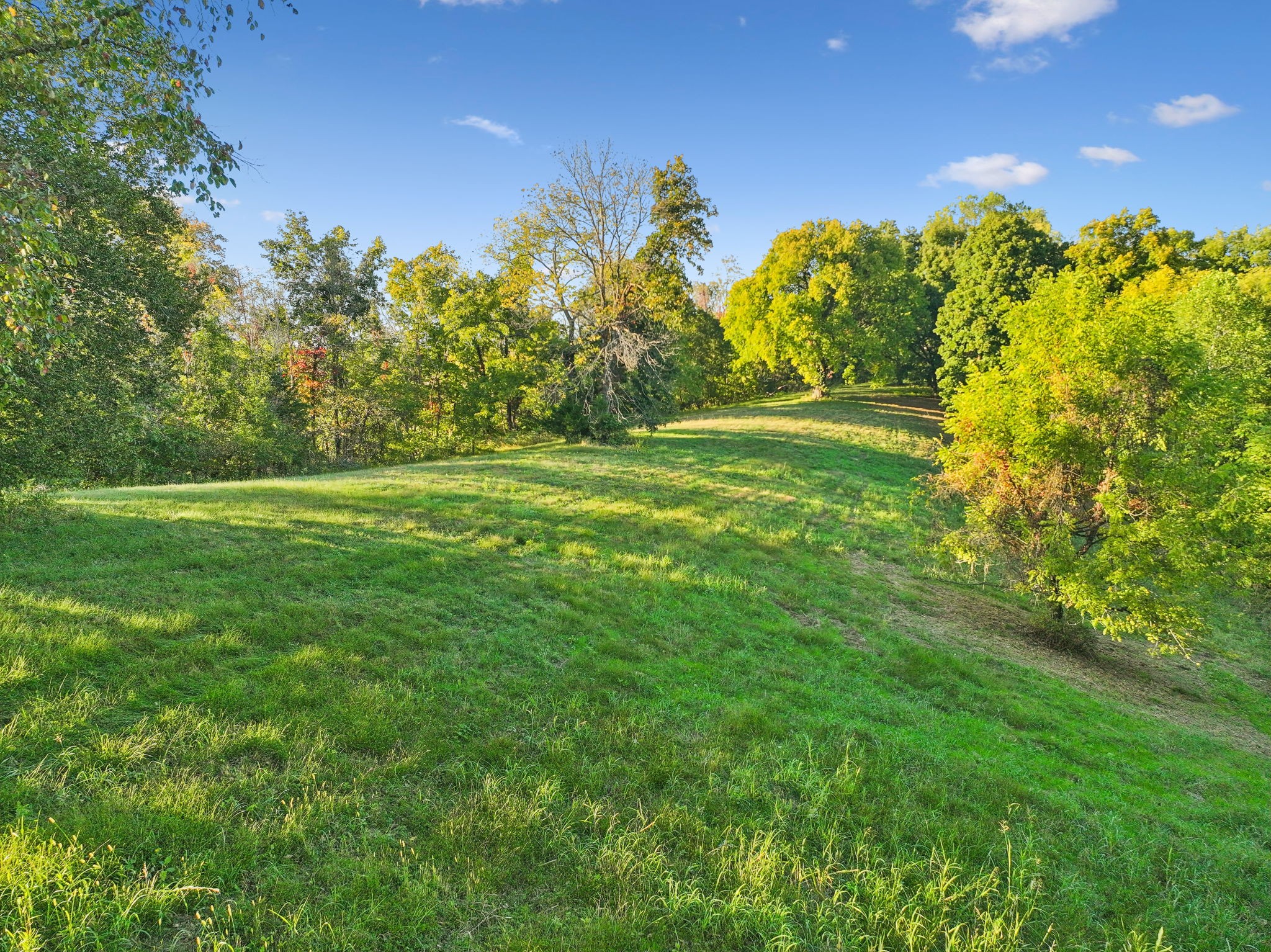 3148 Blazer Road Franklin, TN 37064 - Photo 28 of 67 a view of a yard with a trees