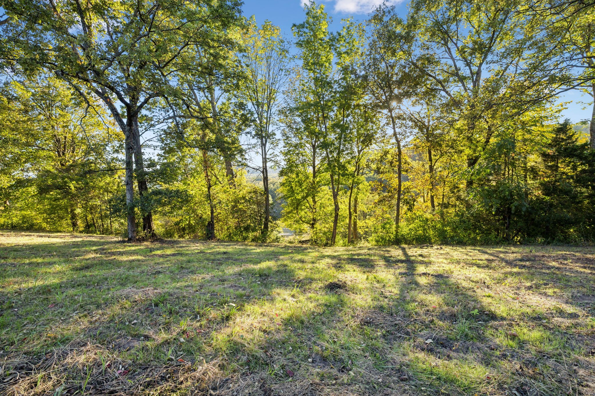 3148 Blazer Road Franklin, TN 37064 - Photo 30 of 67 a view of outdoor space with trees all around