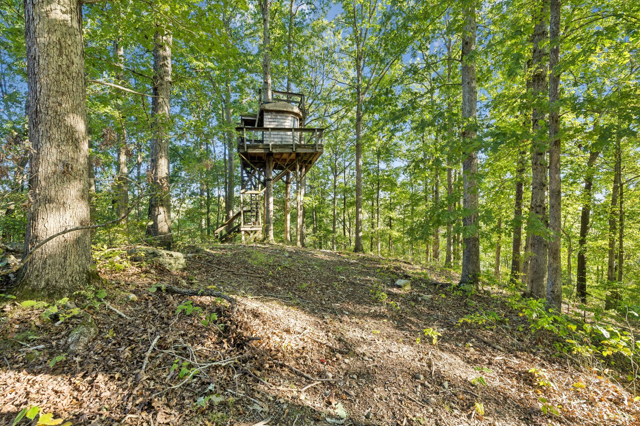 3148 Blazer Road Franklin, TN 37064 - Photo 32 of 67