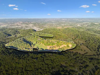an aerial view of houses covered in trees