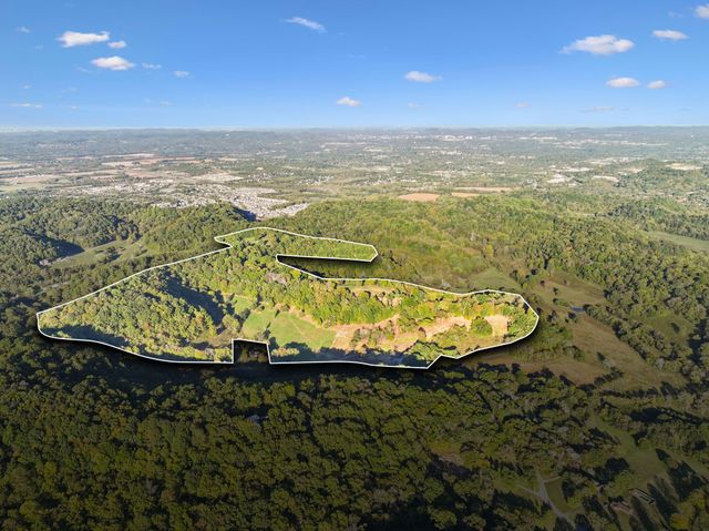 an aerial view of houses covered in trees
