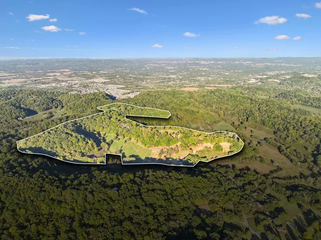 an aerial view of houses covered in trees