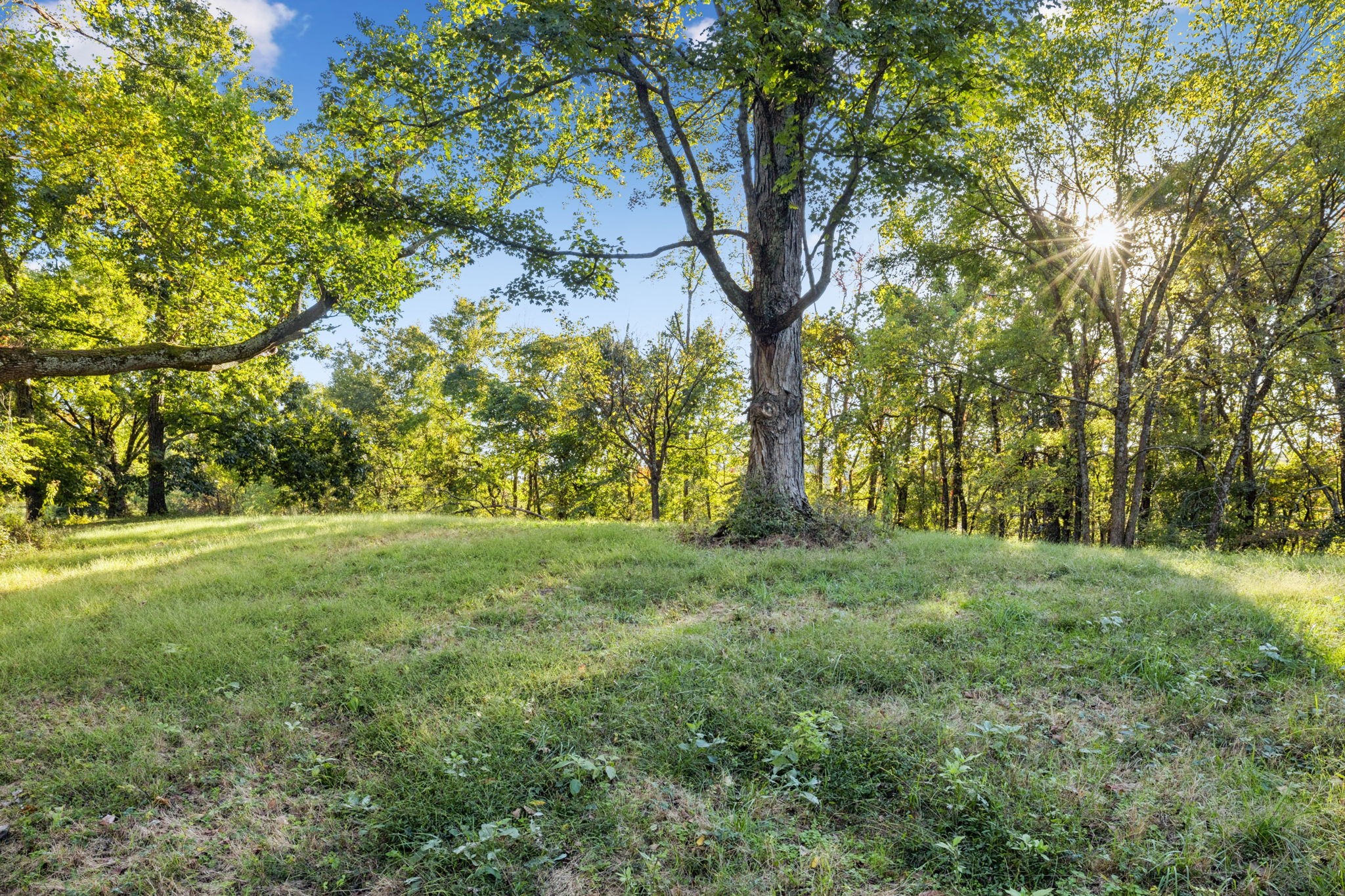 3148 Blazer Road Franklin, TN 37064 - Photo 7 of 67 a view of outdoor space and yard