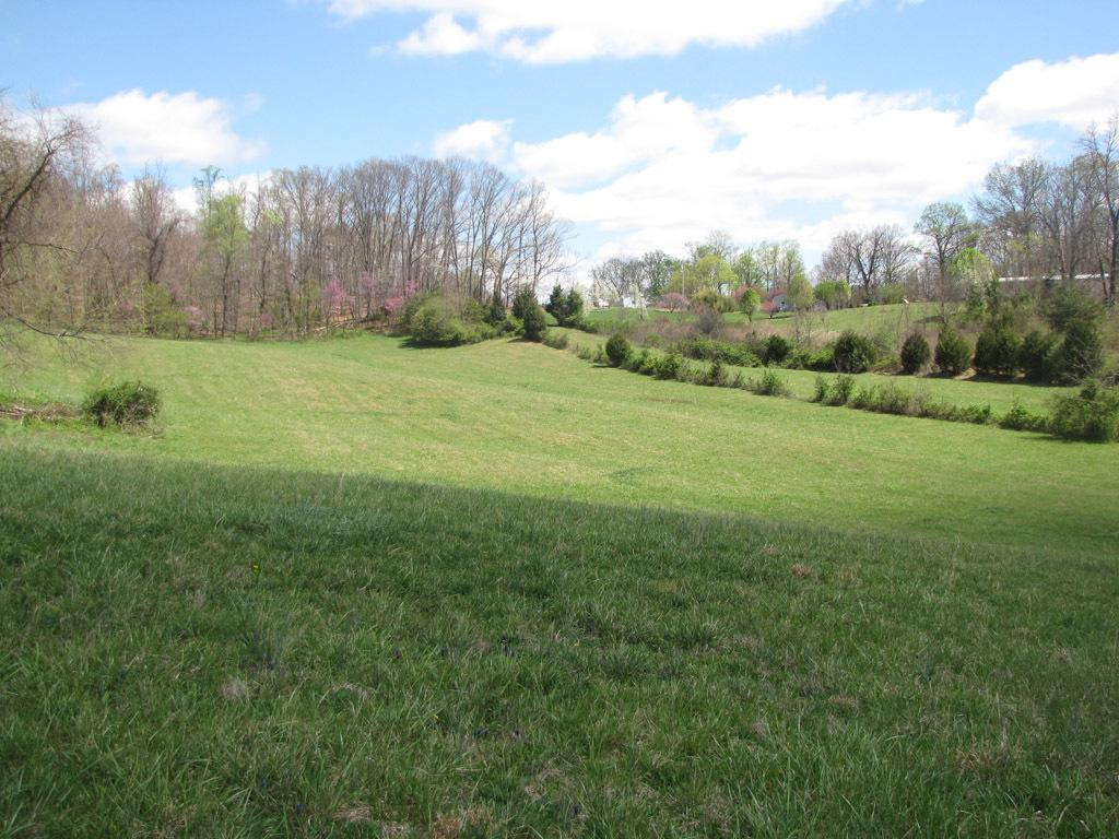 202 Mashburn Road Telford, TN 37690 - Photo 1 of 10 Photo 1