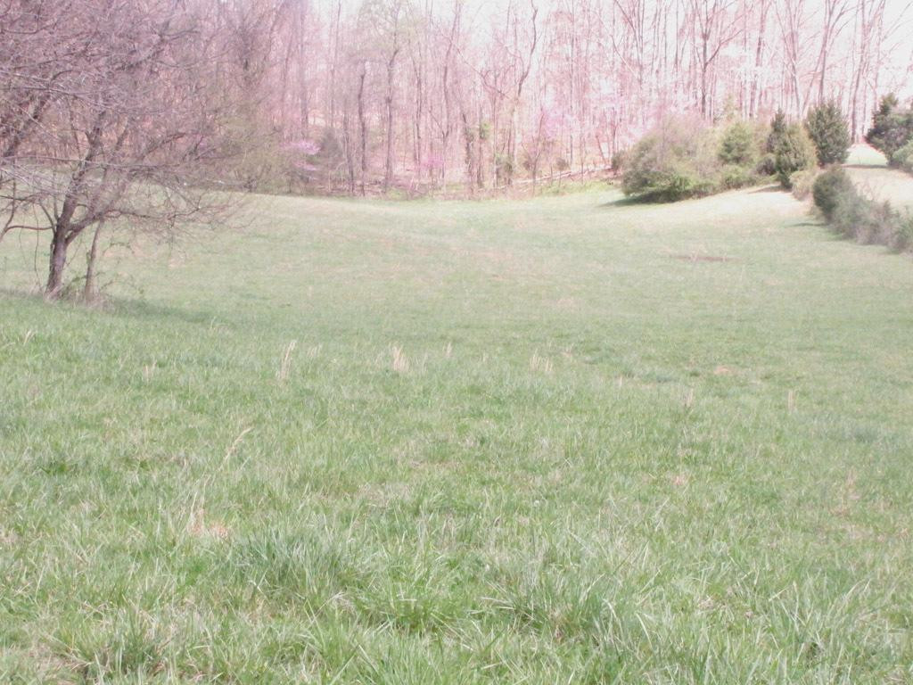 202 Mashburn Road Telford, TN 37690 - Photo 3 of 10 Photo 3
