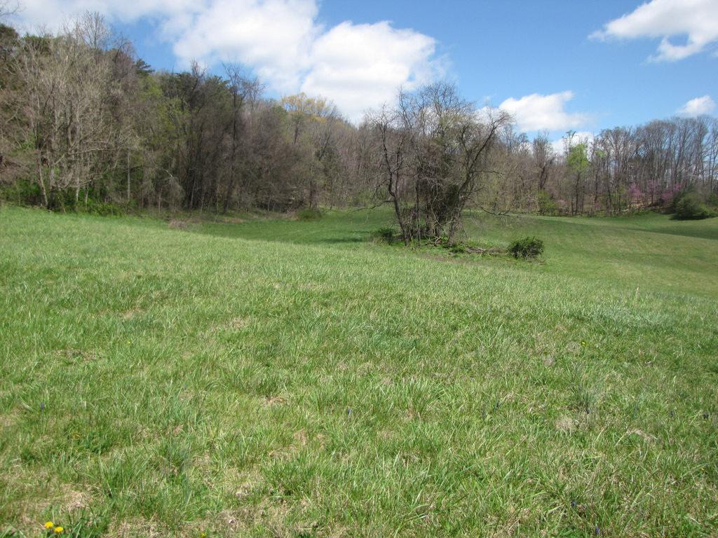 202 Mashburn Road Telford, TN 37690 - Photo 5 of 10 Photo 5