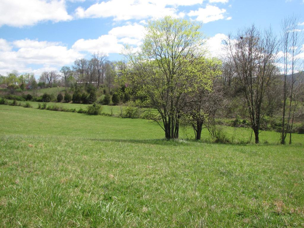 202 Mashburn Road Telford, TN 37690 - Photo 7 of 10 Photo 7