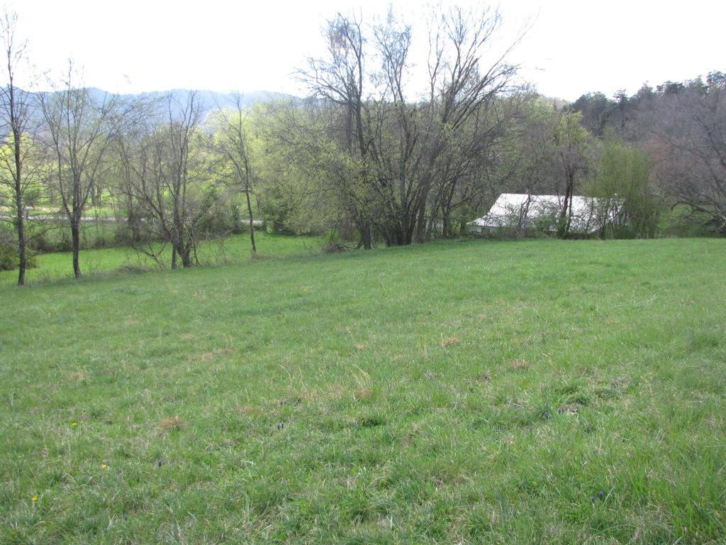 202 Mashburn Road Telford, TN 37690 - Photo 8 of 10 Photo 8