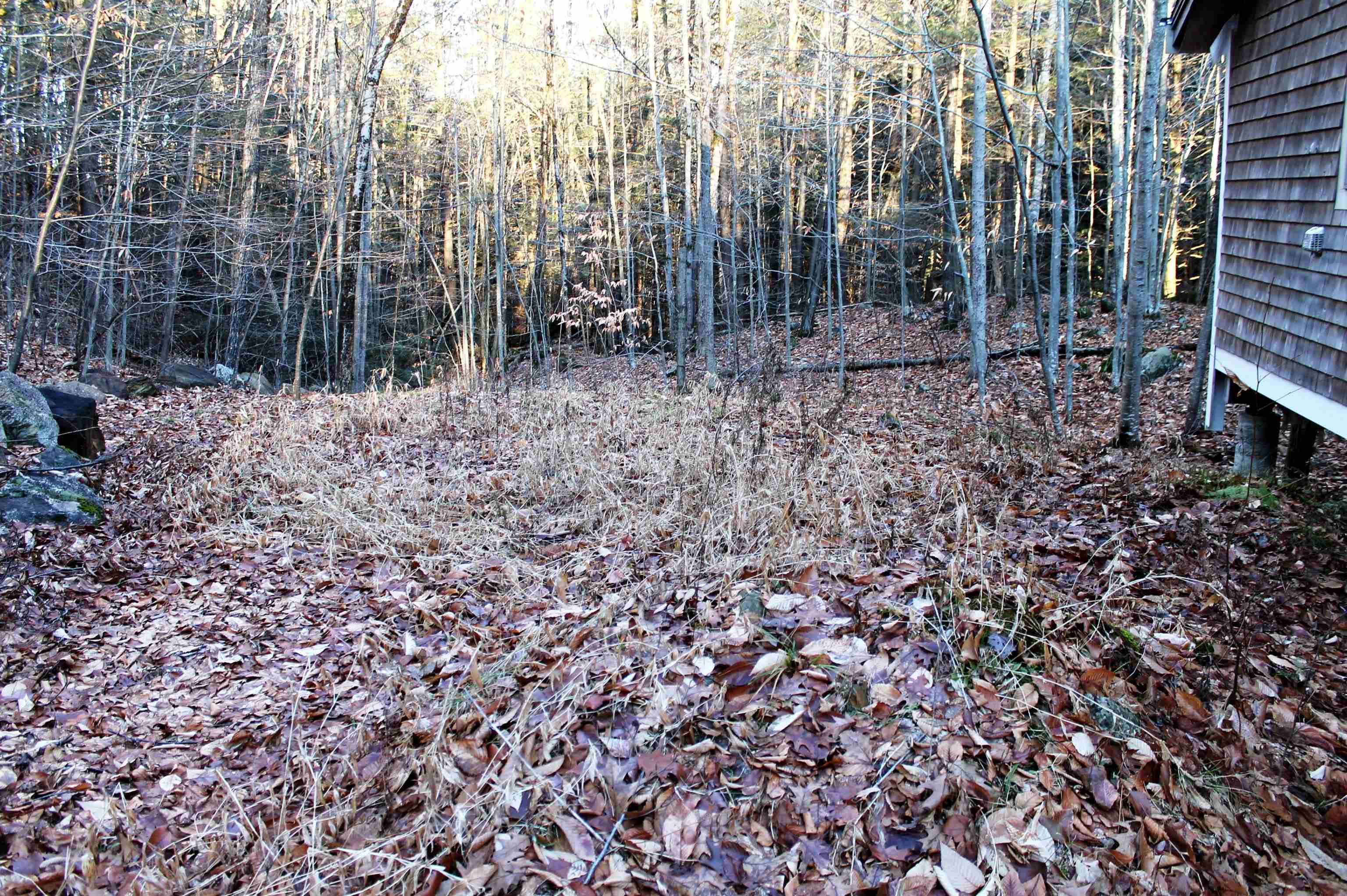 344 Clark Hill Road New Boston, NH 03070 - Photo 27 of 36
