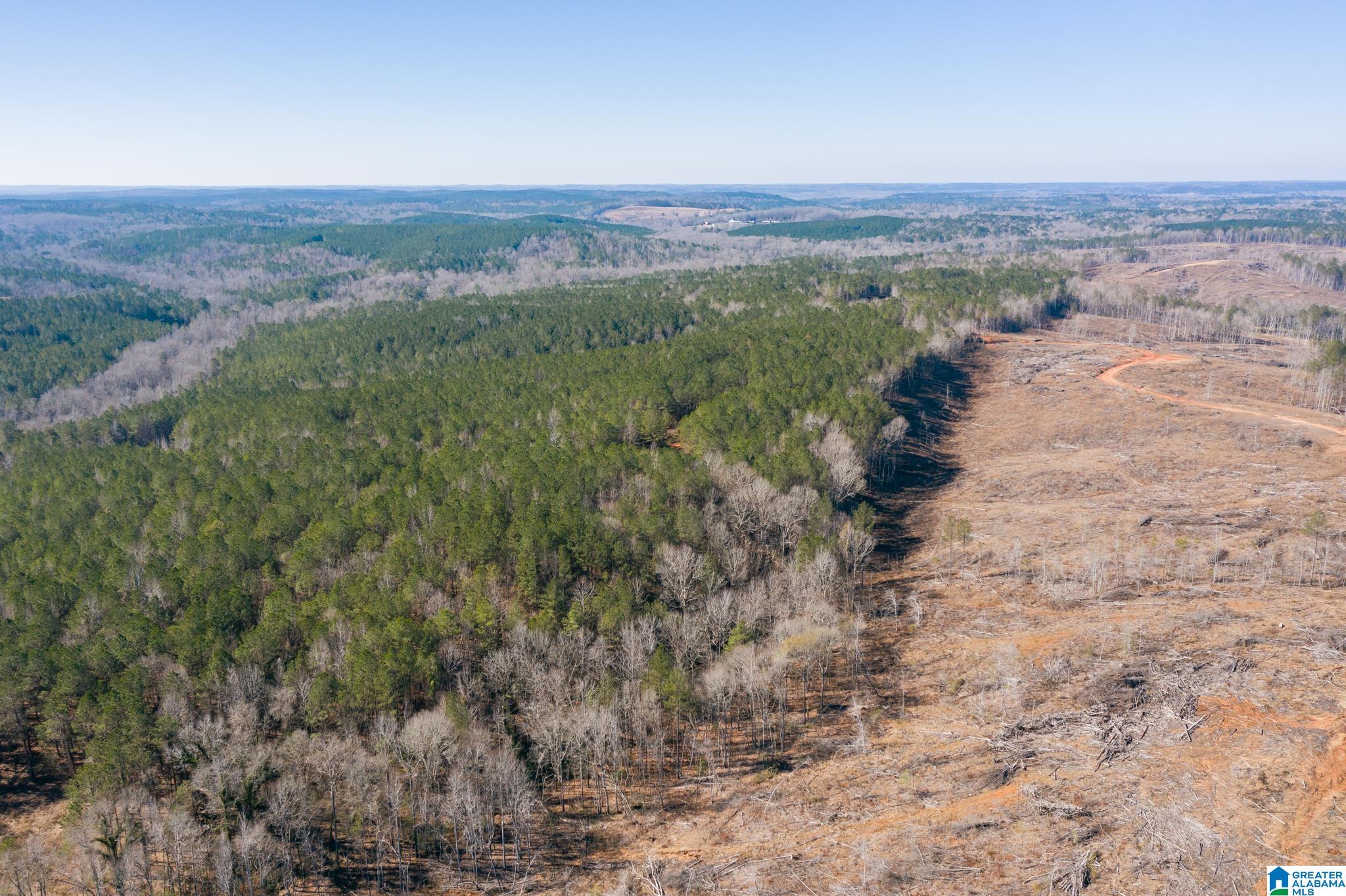 0 Harless Road Northport, AL 35475 - Photo 2 of 34