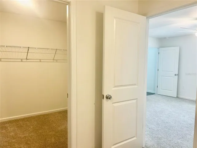 a view of closet