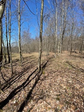 0 Sam Holdridge Road Garrattsville, NY 13342 - Photo 2 of 4