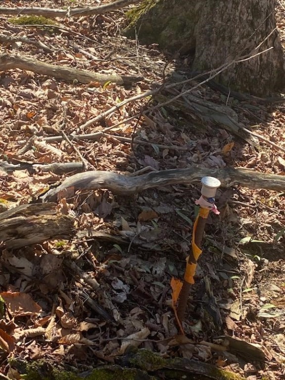 0 Sam Holdridge Road Garrattsville, NY 13342 - Photo 3 of 4