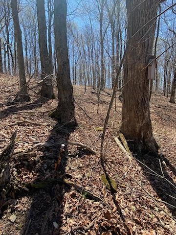 0 Sam Holdridge Road Garrattsville, NY 13342 - Photo 4 of 4