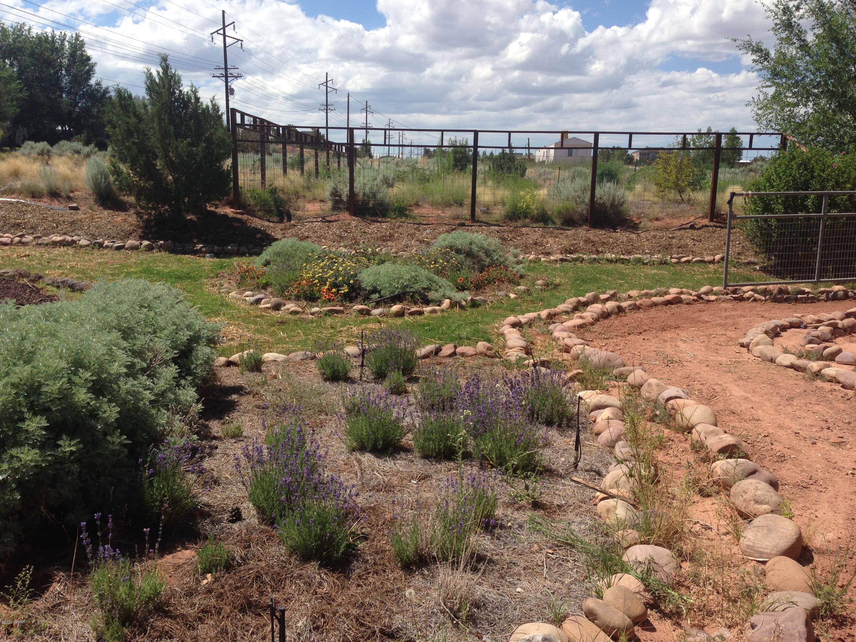 160 South Porter Road Snowflake, AZ 85937 - Photo 11 of 23 Gallery Image 11