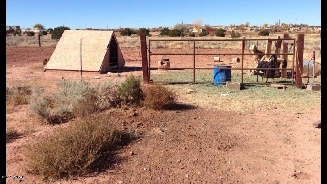 160 South Porter Road Snowflake, AZ 85937 - Photo 22 of 23 Gallery Image 22