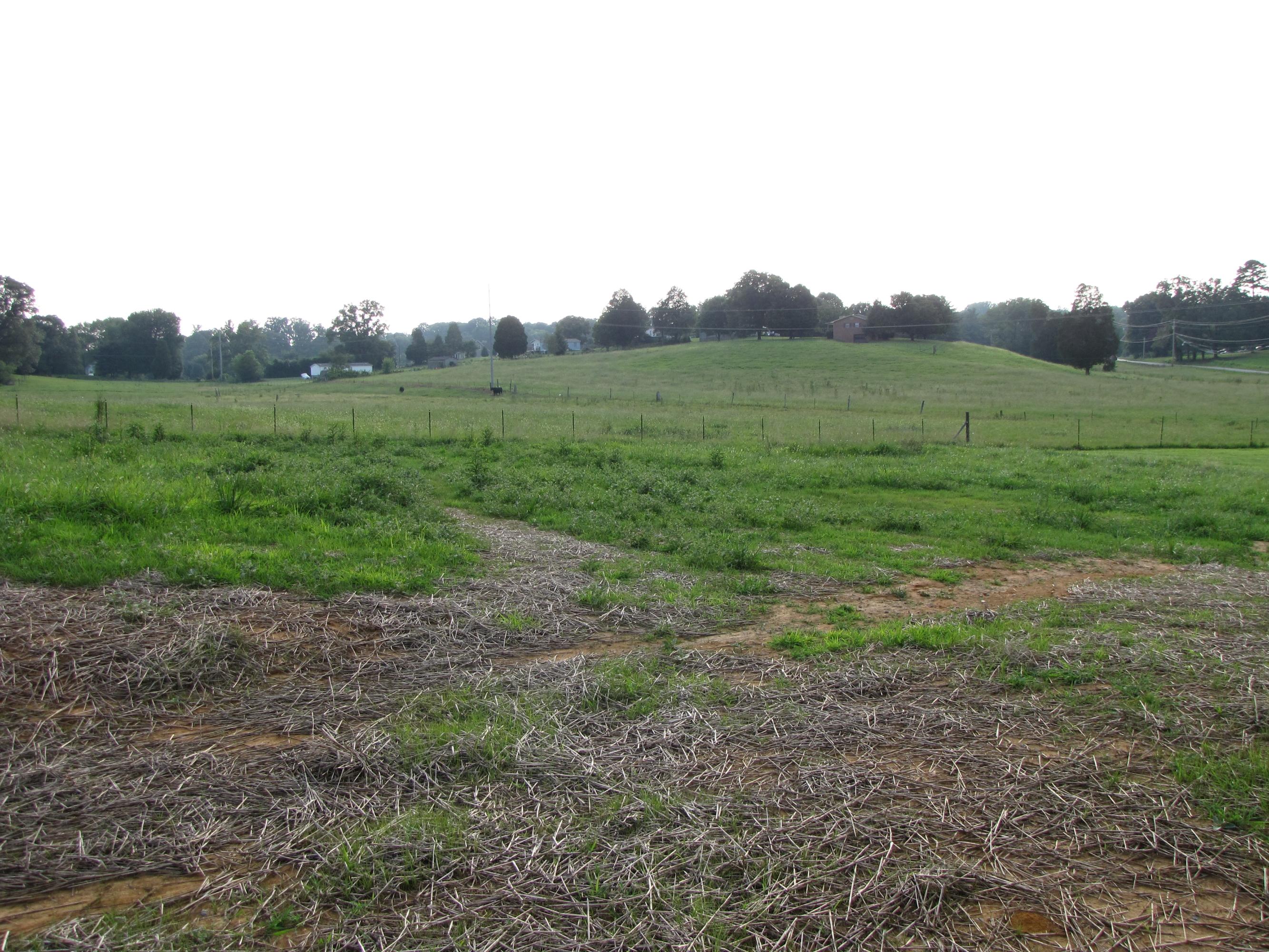 2715 Norcross Road Maryville, TN 37803 - Photo 4 of 10 Back yard view