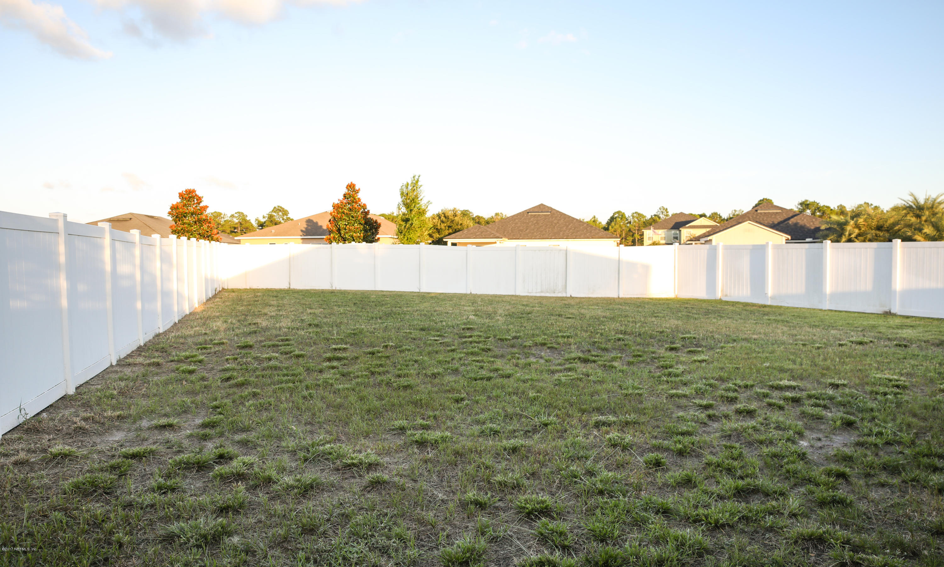 1873 Reed Valley Way Middleburg, FL 32068 - Photo 20 of 24 Backyard