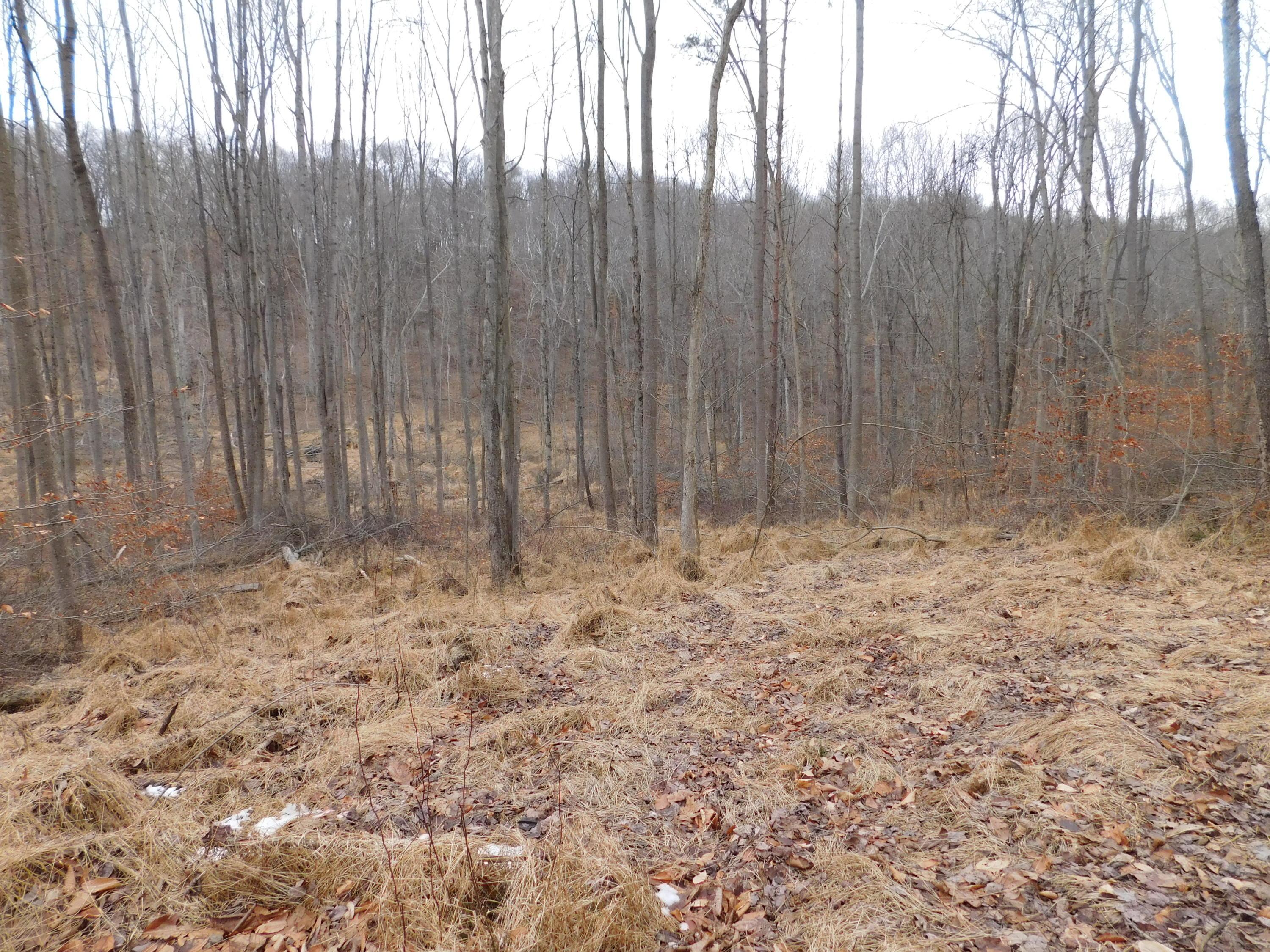 0 Wills Road Southeast Newark, OH 43056 - Photo 12 of 24