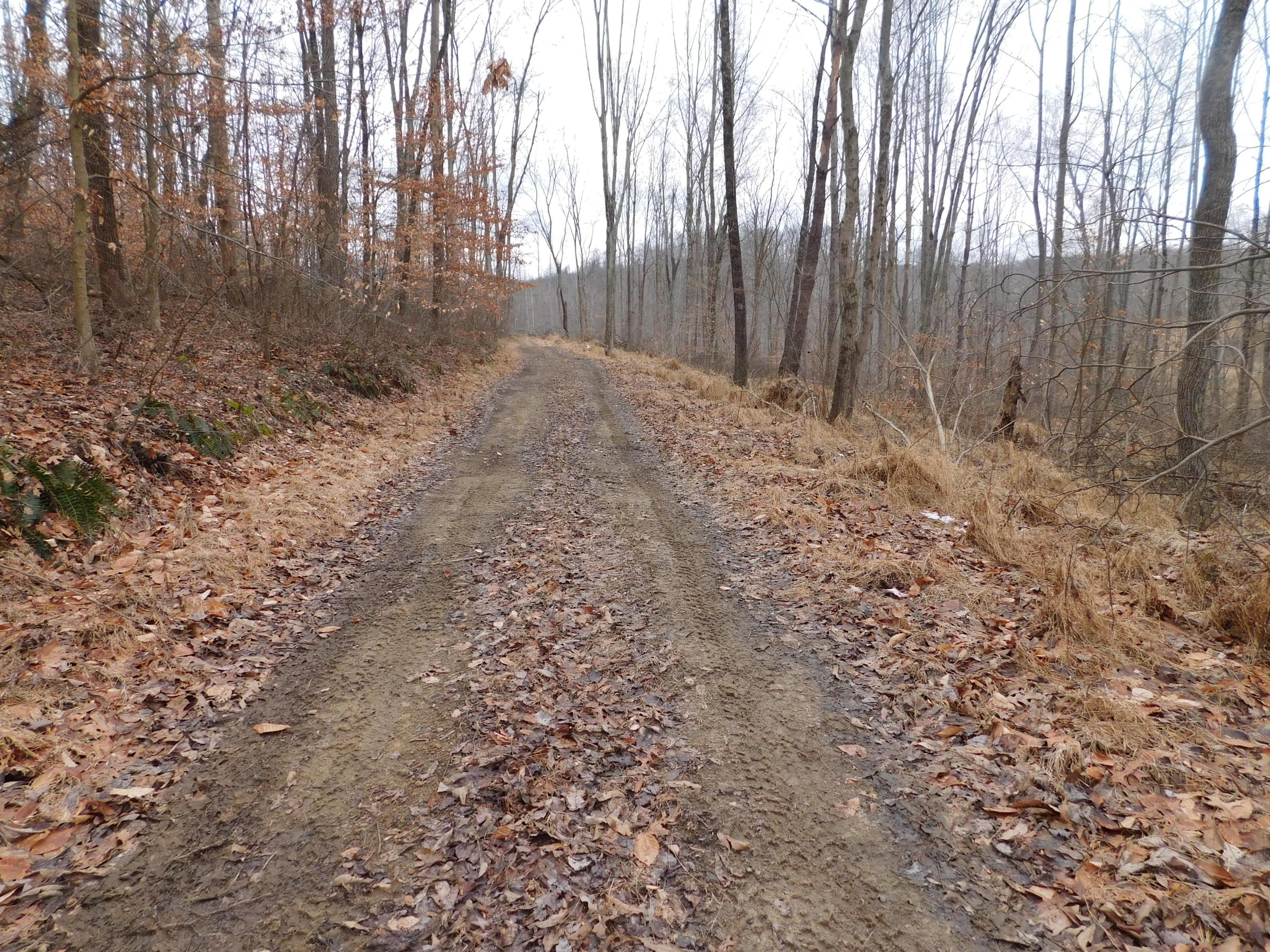 0 Wills Road Southeast Newark, OH 43056 - Photo 13 of 24