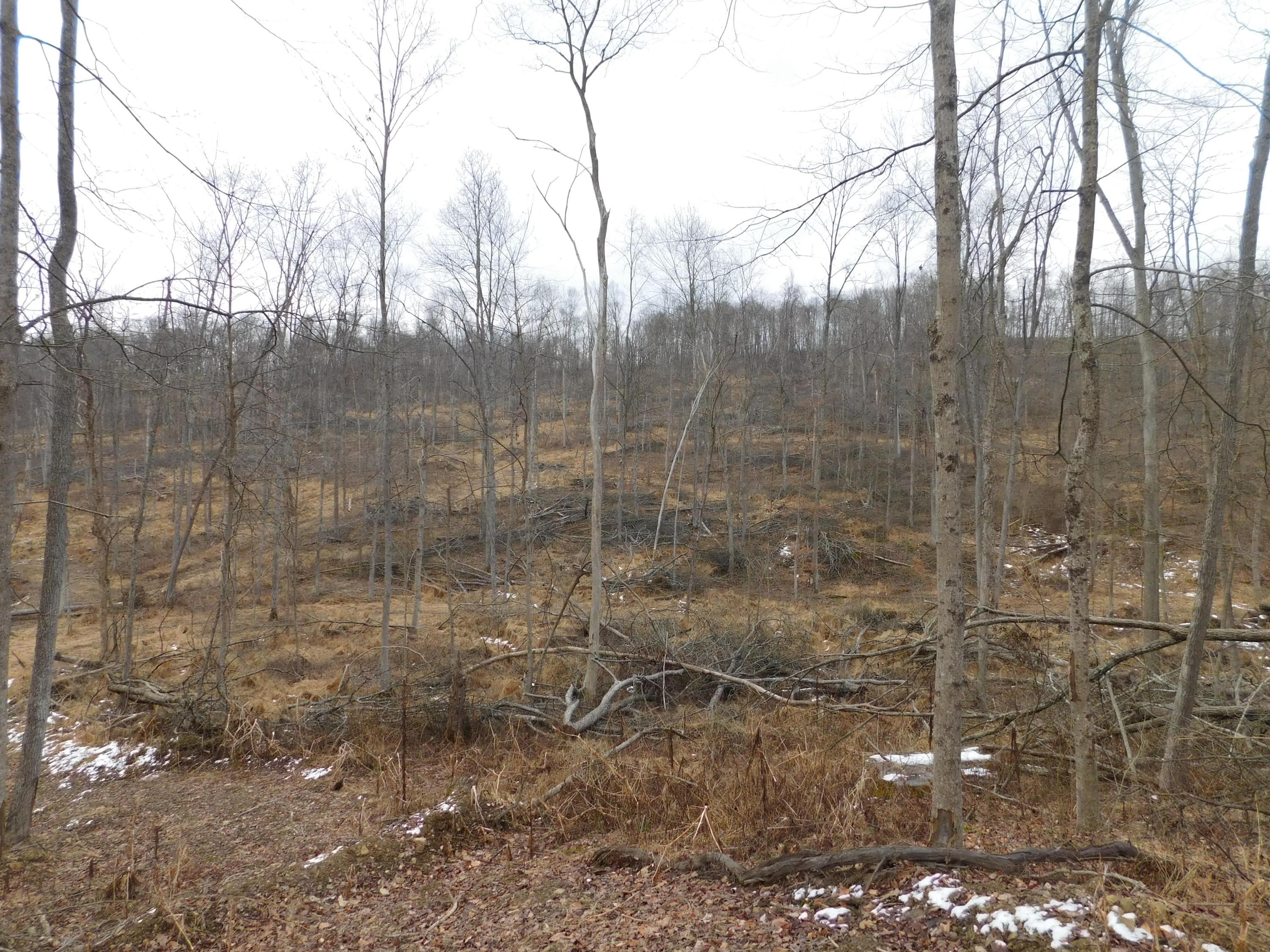 0 Wills Road Southeast Newark, OH 43056 - Photo 15 of 24