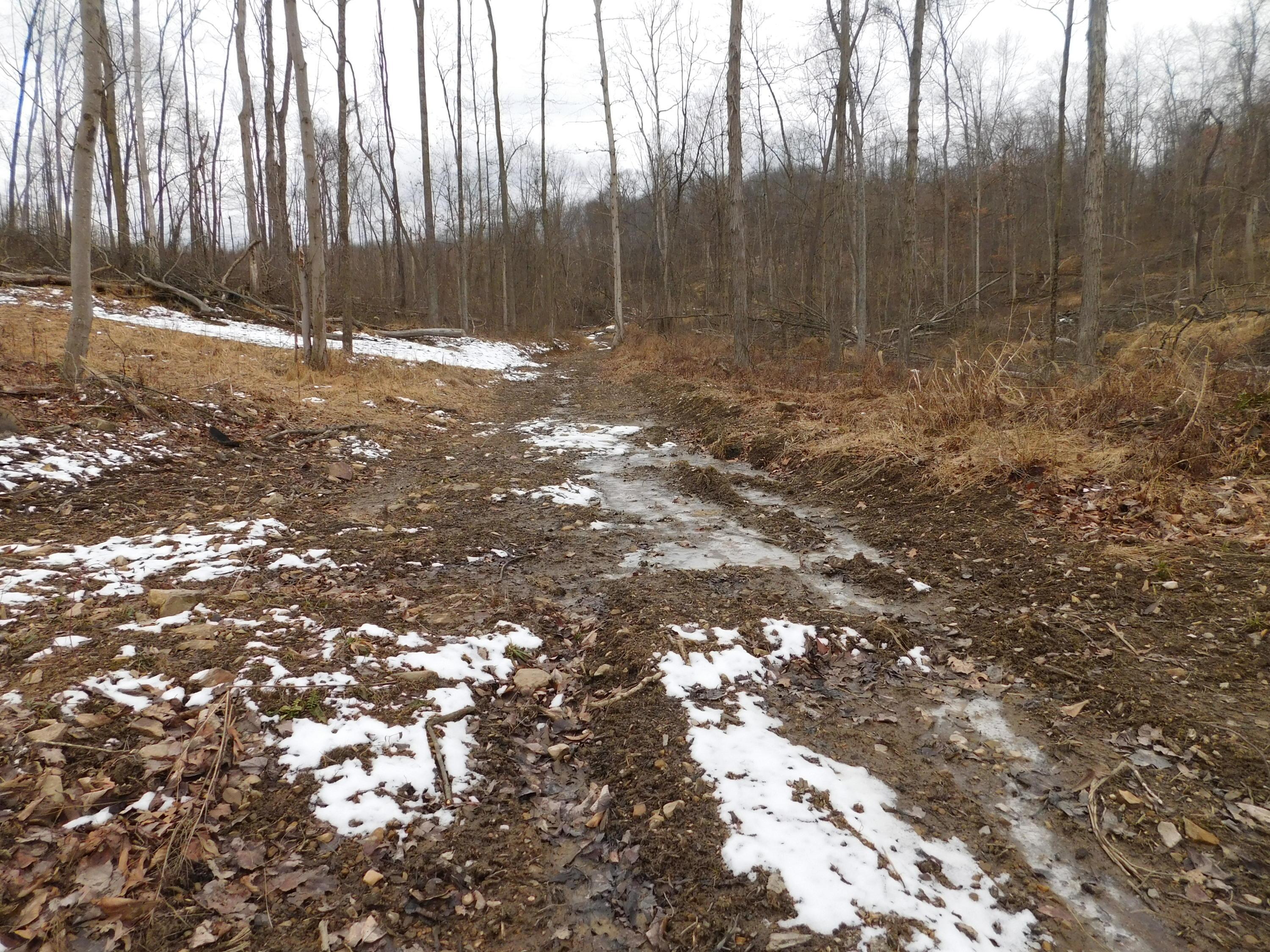0 Wills Road Southeast Newark, OH 43056 - Photo 20 of 24