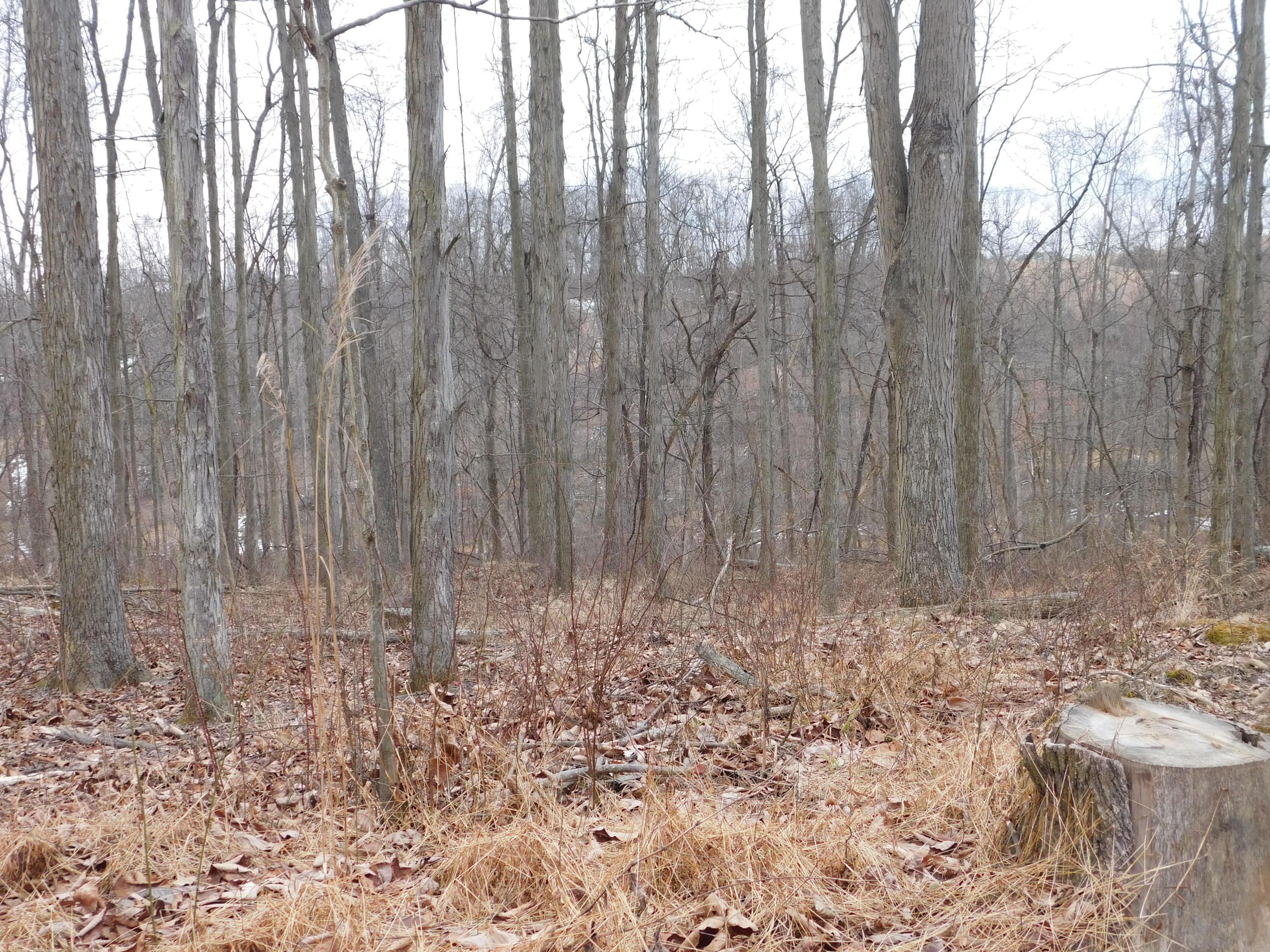 0 Wills Road Southeast Newark, OH 43056 - Photo 21 of 24