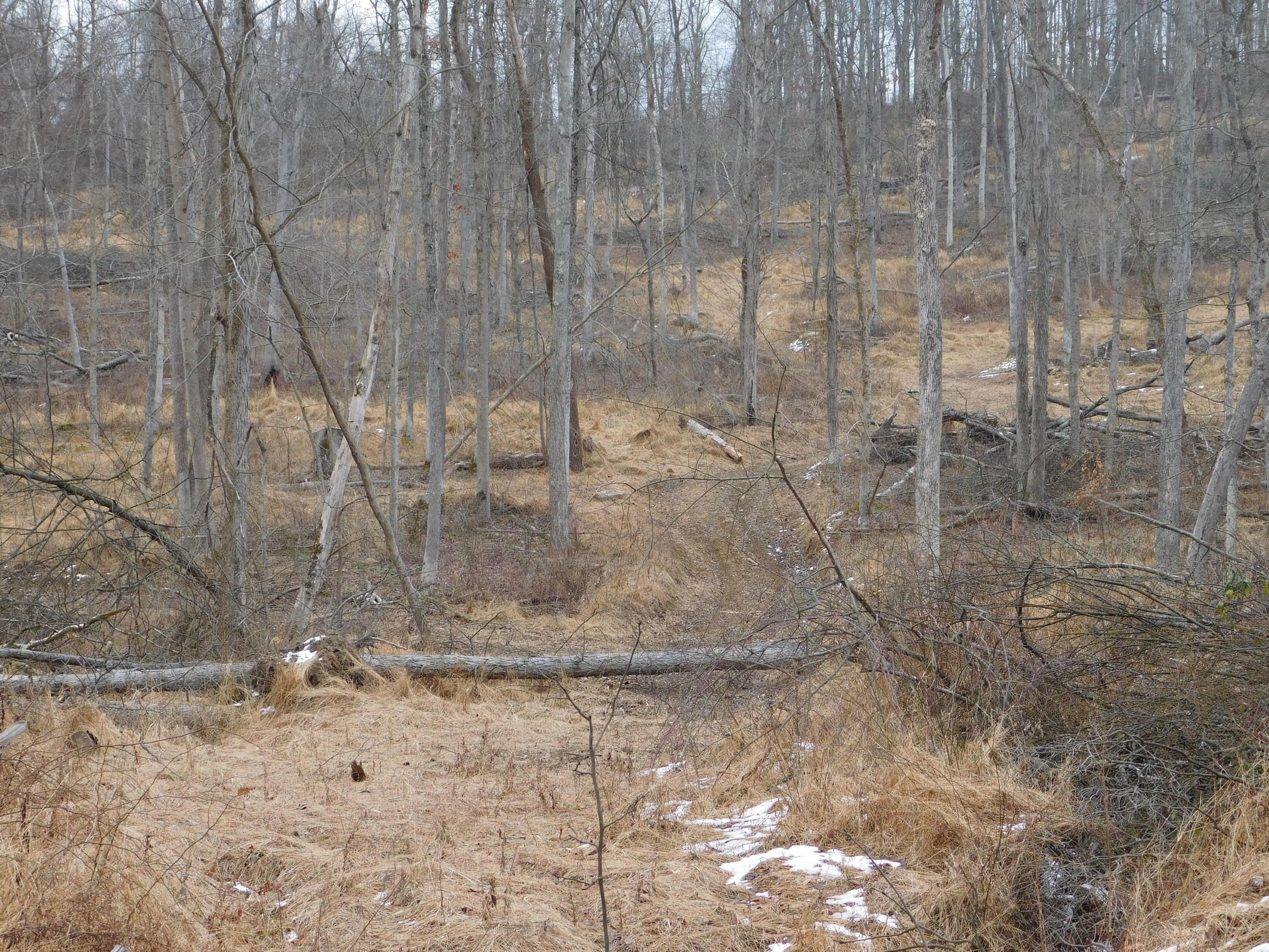 0 Wills Road Southeast Newark, OH 43056 - Photo 8 of 24