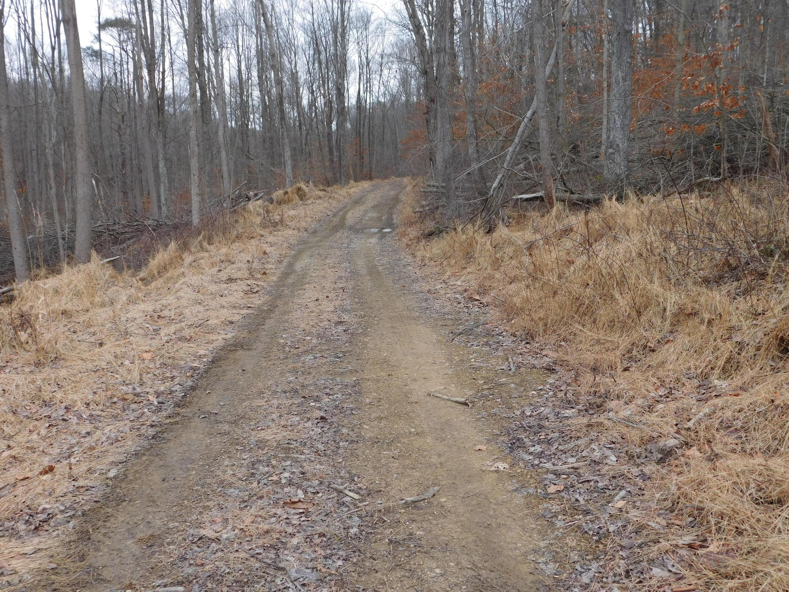 0 Wills Road Southeast Newark, OH 43056 - Photo 10 of 24