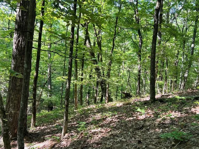 a view of outdoor space and green space