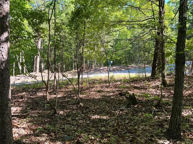 a view of outdoor space and green space