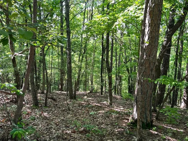 a view of swimming pool with a yard