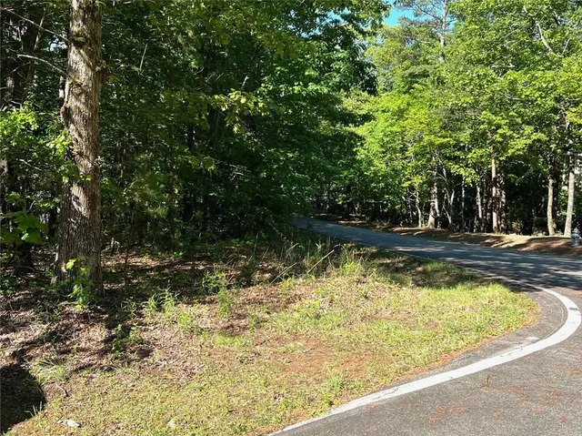 a view of a yard with plants