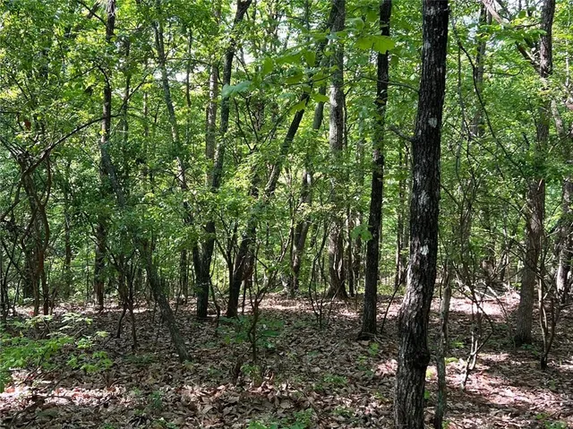a view of outdoor space with trees