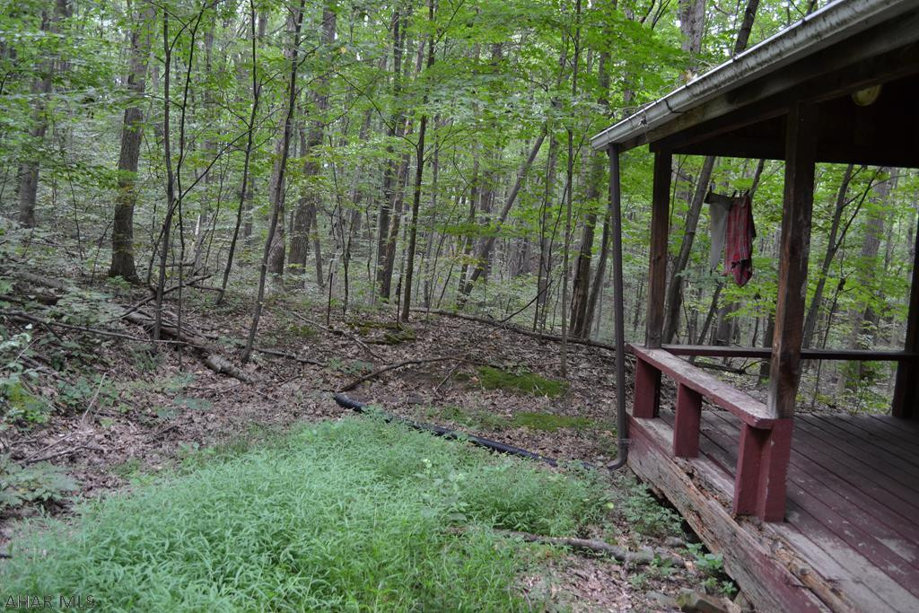 18344 Upper Ridge Road James Creek, PA 16657 - Photo 18 of 18 Gallery Image 18