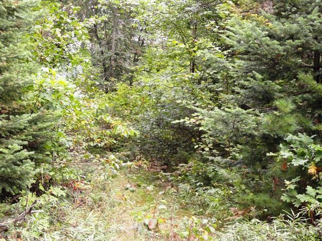 Lot 5 Elto Road Tomahawk, WI 54487 - Photo 3 of 5 Gallery Image 3