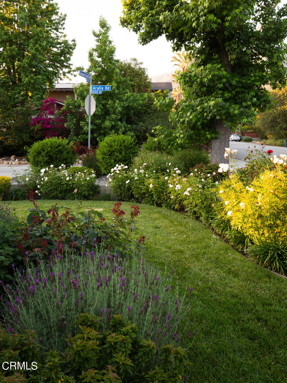 4105 Aralia Road Altadena, CA 91001 - Photo 39 of 41 a view of yard with green space