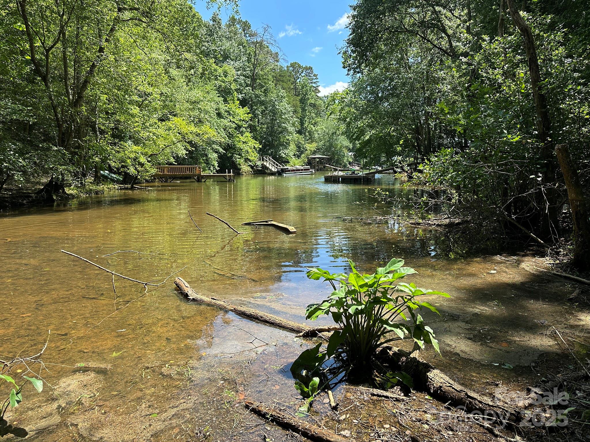 a view of a lake with a yard